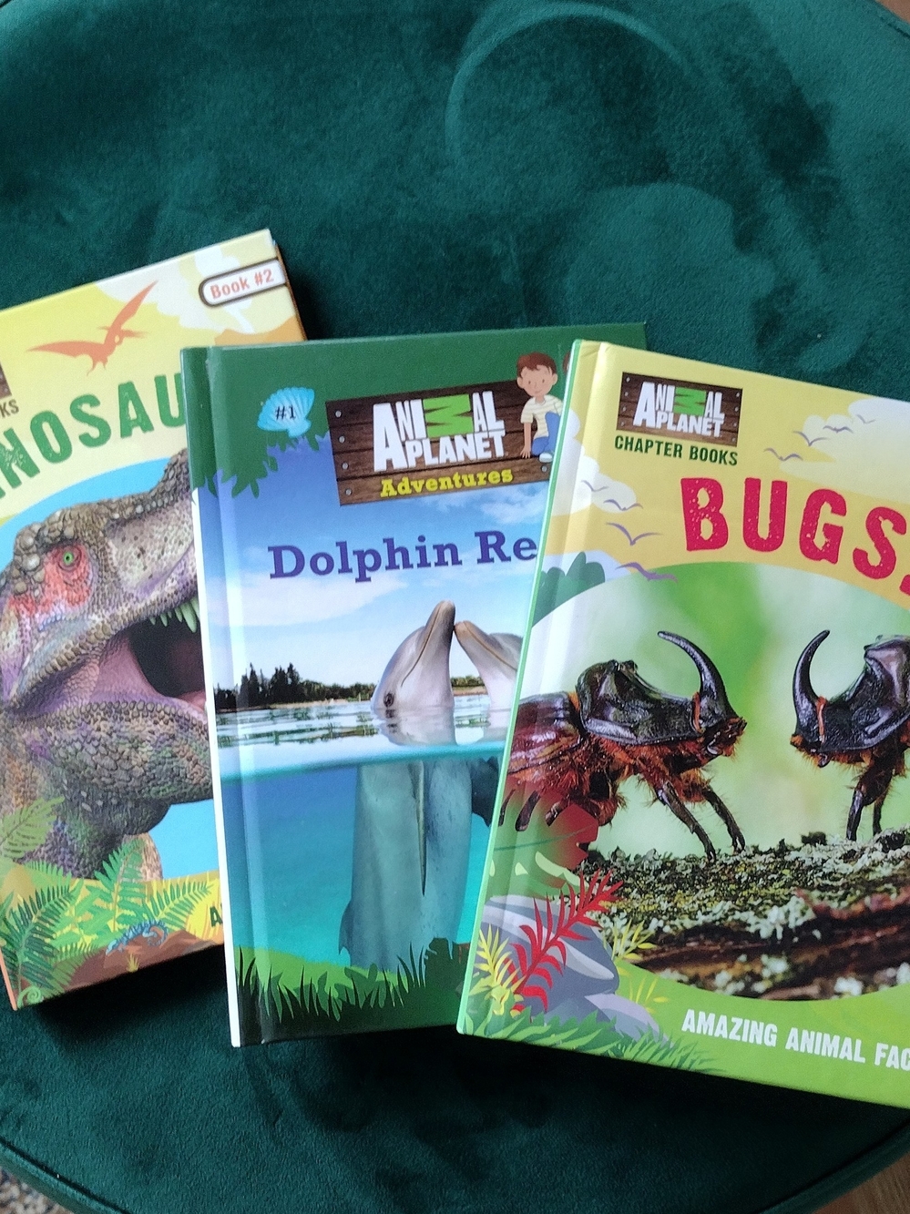 Or of 3 Animal Planet Chapter Kids Books Dolphin Bugs Dinosaurs